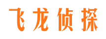 吉林市场调查